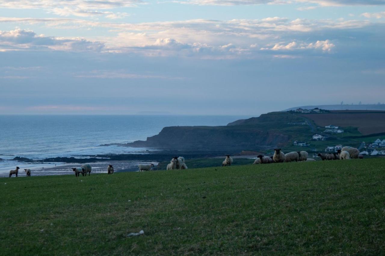 Chalet 18 Widemouth Bay Holiday Village Bude Kültér fotó